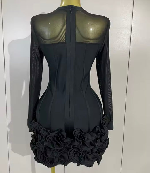 Women Sexy Mesh Full Sleeve Floral Ruffled Dress