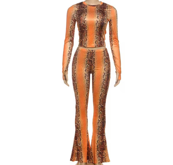 Women Color Animal Print Full Sleeve Crop Two Piece Pant Set