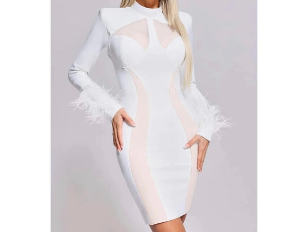 Women Sexy Full Sleeve Feather Mesh Patchwork Dress