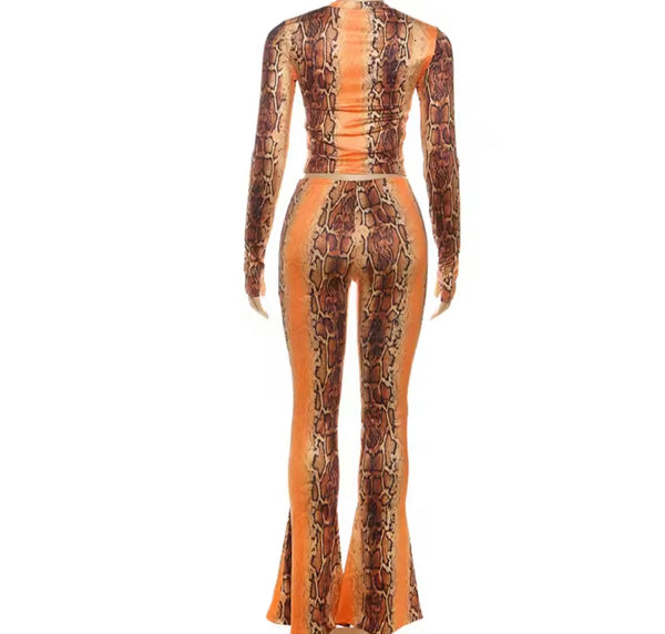 Women Color Animal Print Full Sleeve Crop Two Piece Pant Set