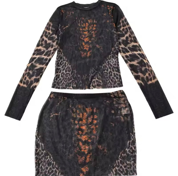 Women Sexy Leopard Print Full Sleeve Mesh Two Piece Skirt Set