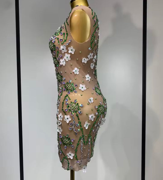 Women Sexy Sleeveless Floral Color Crystal Mesh Dress