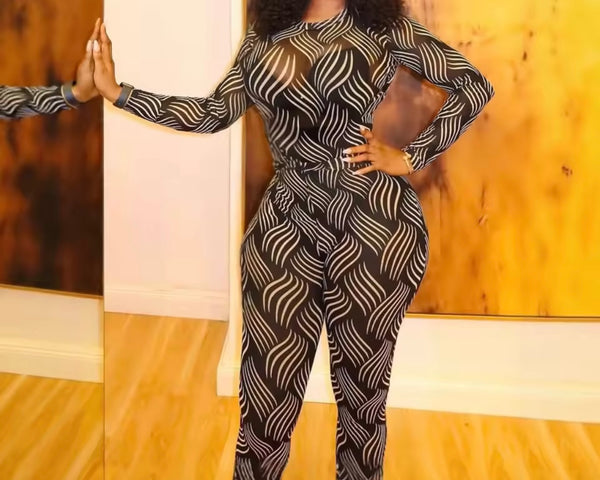 Women Sexy Printed Mesh Full Sleeve Two Piece Pant Set