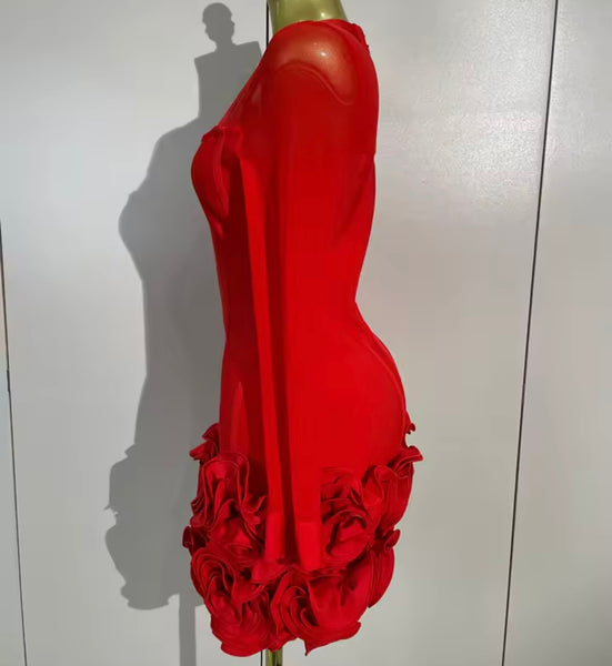 Women Sexy Mesh Full Sleeve Floral Ruffled Dress