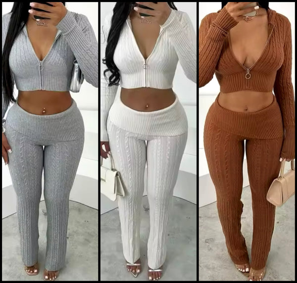 Women Fashion Color Zip Up Hooded Full Sleeve Two Piece Pant Set