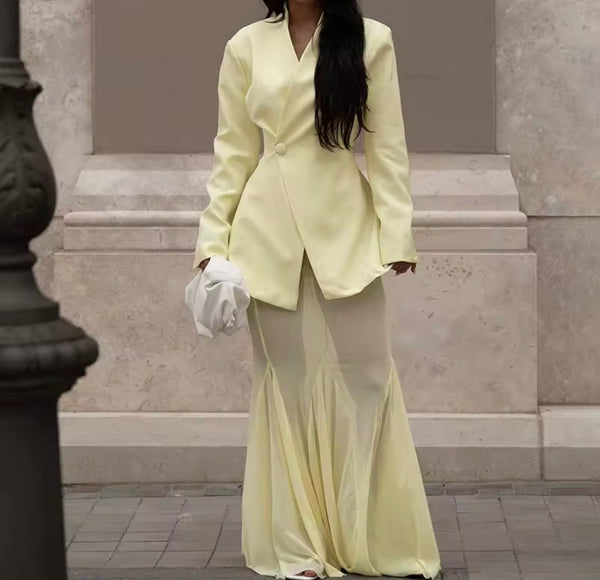 Women Sexy Full Sleeve Blazer Two Piece Mesh Maxi Skirt Set