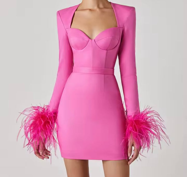 Women Pink Sexy Feather Full Sleeve Dress