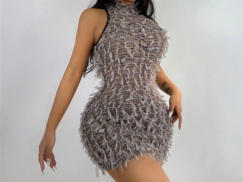 Women Sexy Sleeveless Color Fringe Mesh Dress