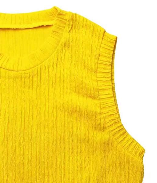 Women Sleeveless Ribbed Color Fashion Two Piece Pant Set