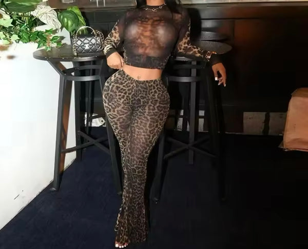 Women Sexy Leopard Print Mesh Full Sleeve Two Piece Pant Set