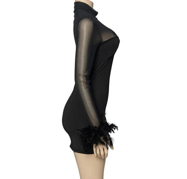 Women Black Sexy Mesh Feather Full Sleeve Dress