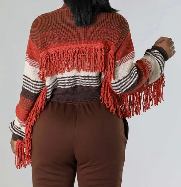 Women Multicolored Striped Fringe Full Sleeve Fashion Zip Up Top