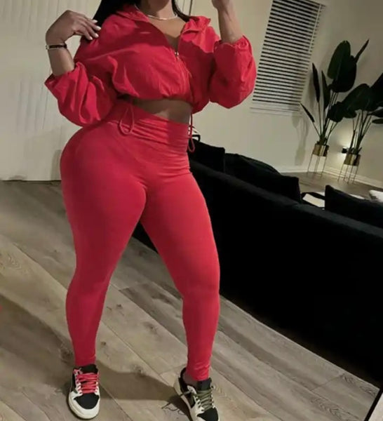 Women Fashion Solid Color Zip Up Full Sleeve Crop Two Piece Pant Set