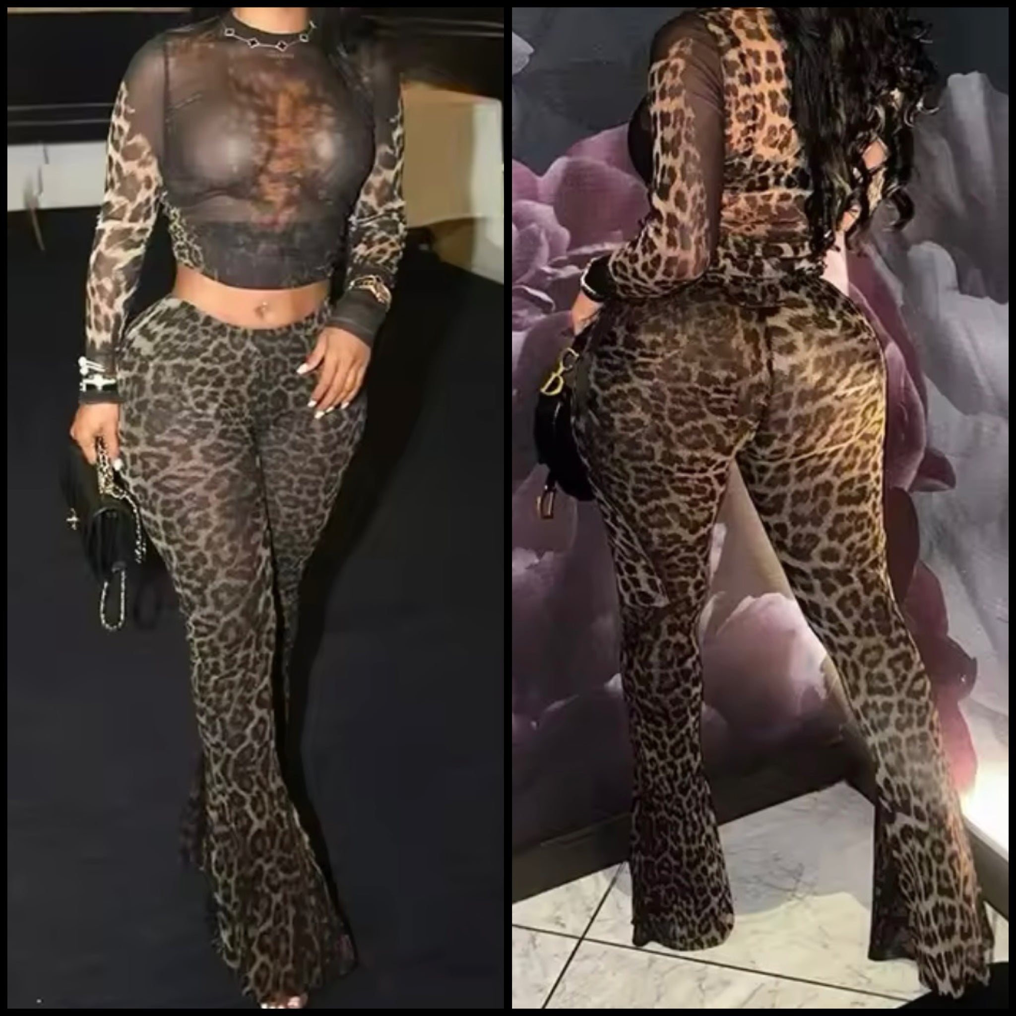 Women Sexy Leopard Print Mesh Full Sleeve Two Piece Pant Set