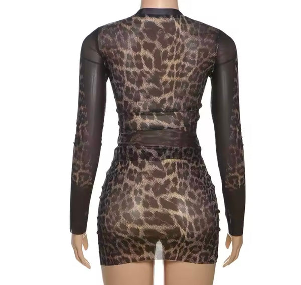 Women Sexy Leopard Print Full Sleeve Mesh Two Piece Skirt Set
