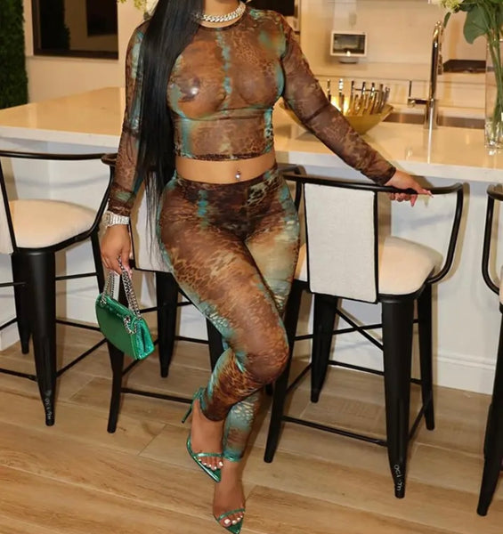 Women Sexy Color Animal Print Mesh Full Sleeve Two Piece Pant Set