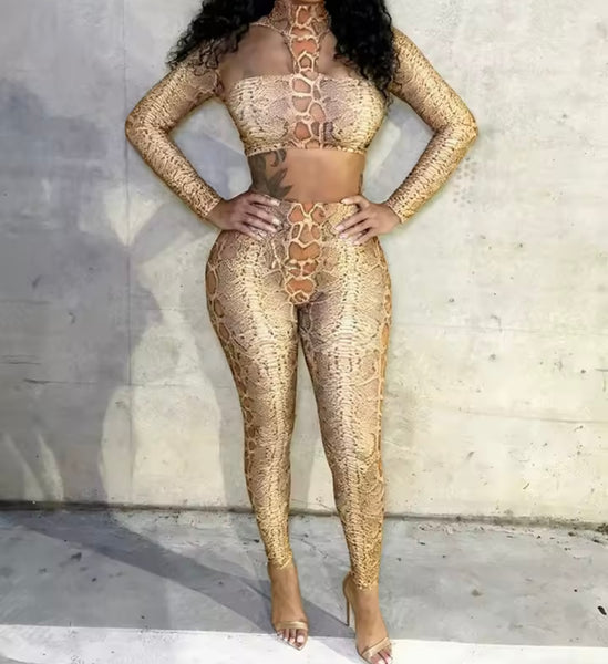 Women Sexy Fashion Animal Print Crop Two Piece Pant Set