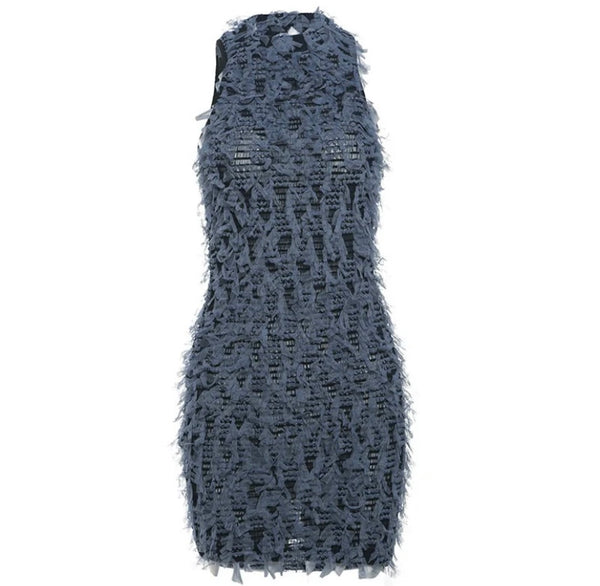 Women Sexy Sleeveless Color Fringe Mesh Dress