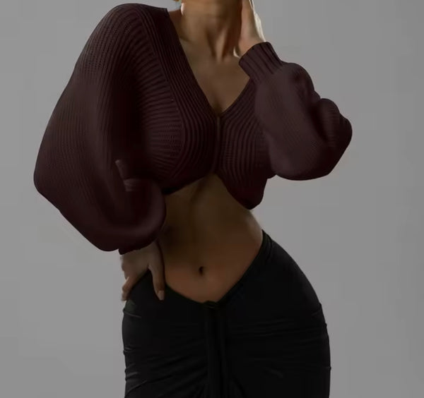 Women Ribbed Knitted Fashion Full Sleeve Crop Sweater Top