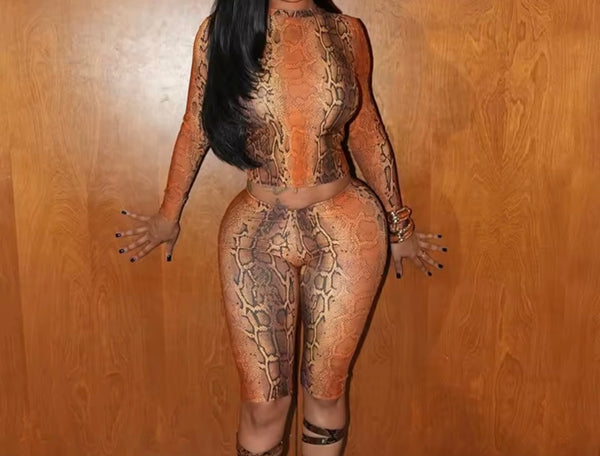 Women Fashion Color Animal Print Full Sleeve Two Piece Capri Pant Set