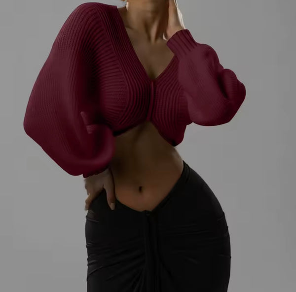 Women Ribbed Knitted Fashion Full Sleeve Crop Sweater Top