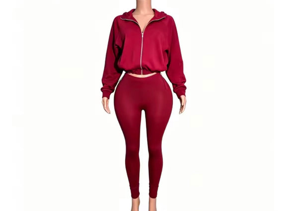 Women Fashion Hooded Zip Up Tracksuit Two Piece Pant Set