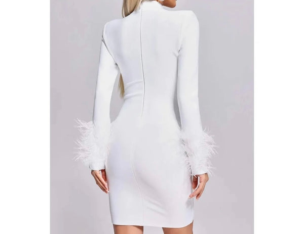 Women Sexy Full Sleeve Feather Mesh Patchwork Dress