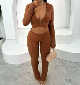 Women Fashion Color Zip Up Hooded Full Sleeve Two Piece Pant Set