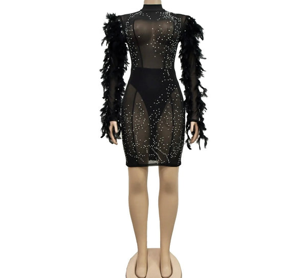 Women Black Sexy Bling Mesh Feather Full Sleeve Dress