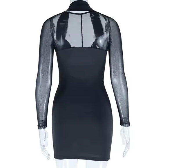 Women Black Halter Mesh Full Sleeve Sexy Dress