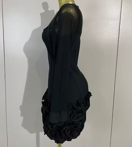 Women Sexy Mesh Full Sleeve Floral Ruffled Dress