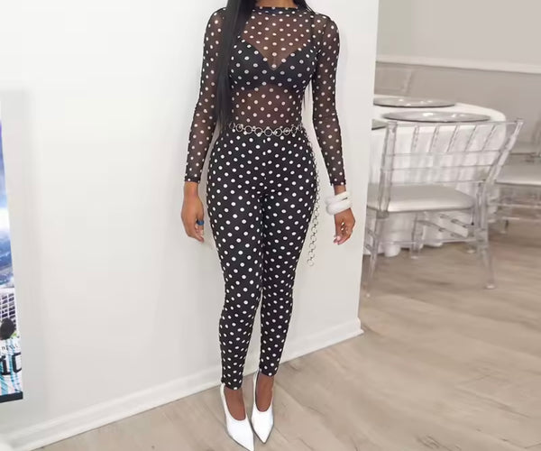 Women Mesh Full Sleeve Two Piece Sexy Pant Set
