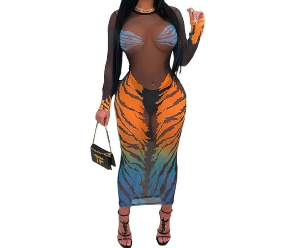 Women Sexy Colorful Print Black Mesh Full Sleeve Dress