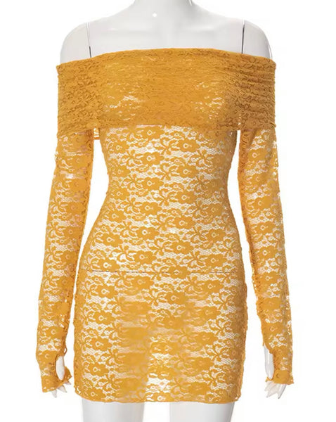 Women Sexy Off The Shoulder Full Sleeve Lace Dress