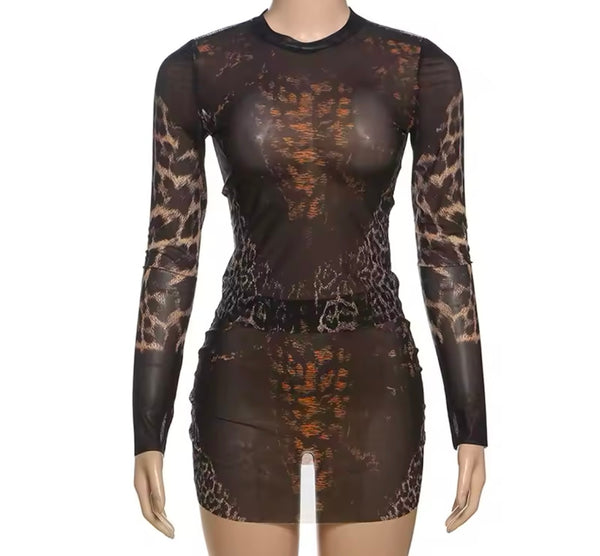 Women Sexy Leopard Print Full Sleeve Mesh Two Piece Skirt Set