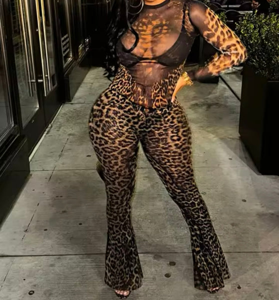 Women Sexy Leopard Print Mesh Full Sleeve Two Piece Pant Set