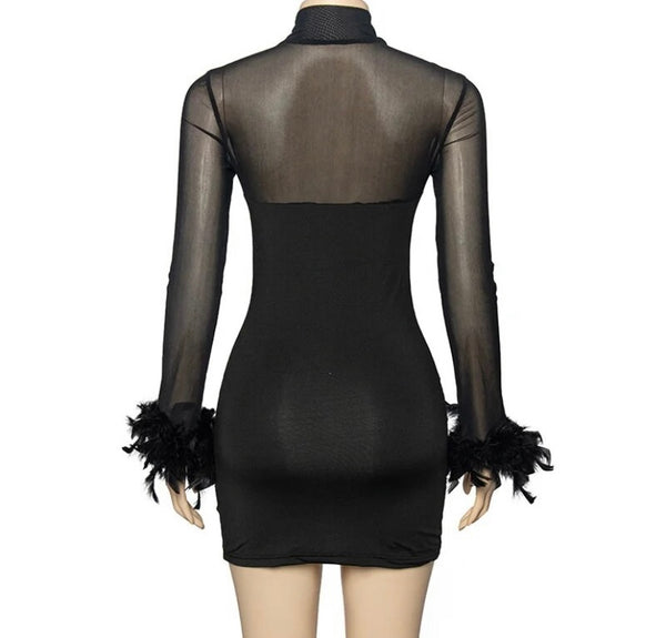 Women Black Sexy Mesh Feather Full Sleeve Dress