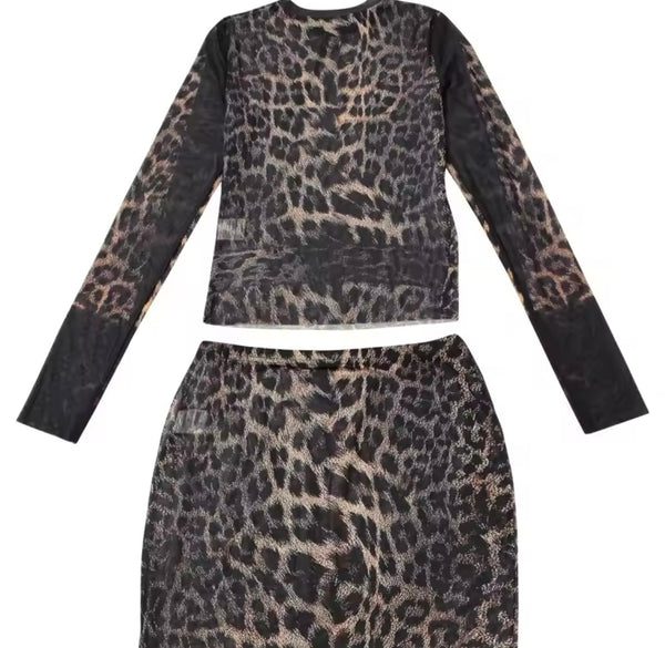 Women Sexy Leopard Print Full Sleeve Mesh Two Piece Skirt Set