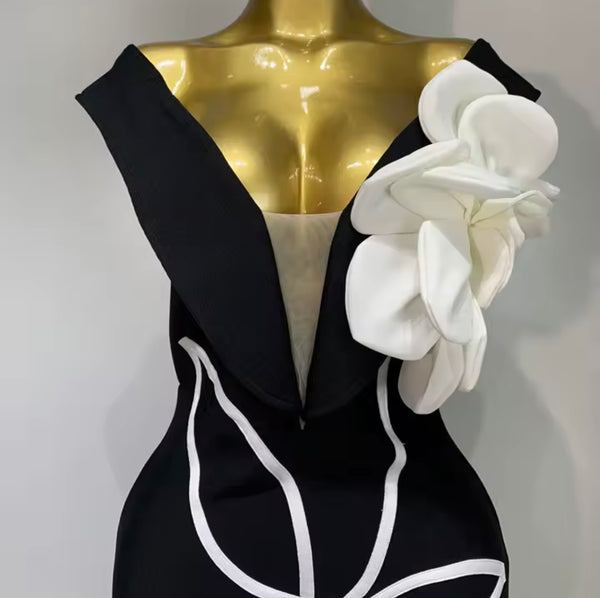 Women Sexy Sleeveless 3D Floral Print Dress