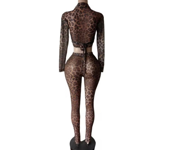 Women Button Up Leopard Mesh Fashion Two Piece Pant Set