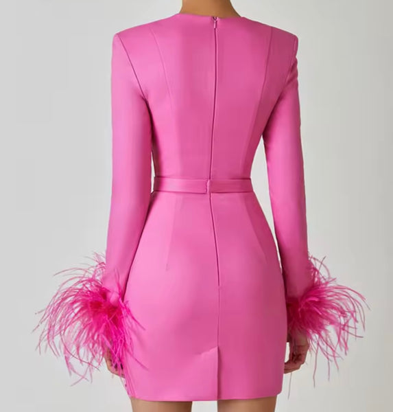 Women Pink Sexy Feather Full Sleeve Dress