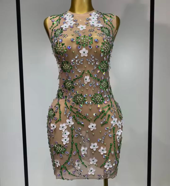 Women Sexy Sleeveless Floral Color Crystal Mesh Dress