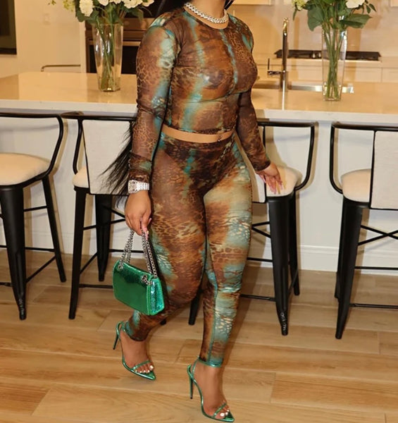 Women Sexy Color Animal Print Mesh Full Sleeve Two Piece Pant Set