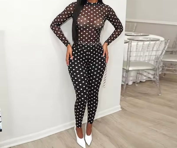 Women Mesh Full Sleeve Two Piece Sexy Pant Set