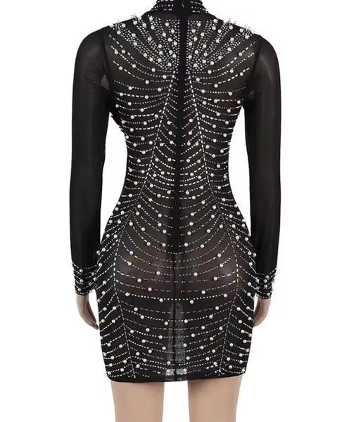 Women Sexy Black Beaded Bling Feather Mesh Full Sleeve Dress