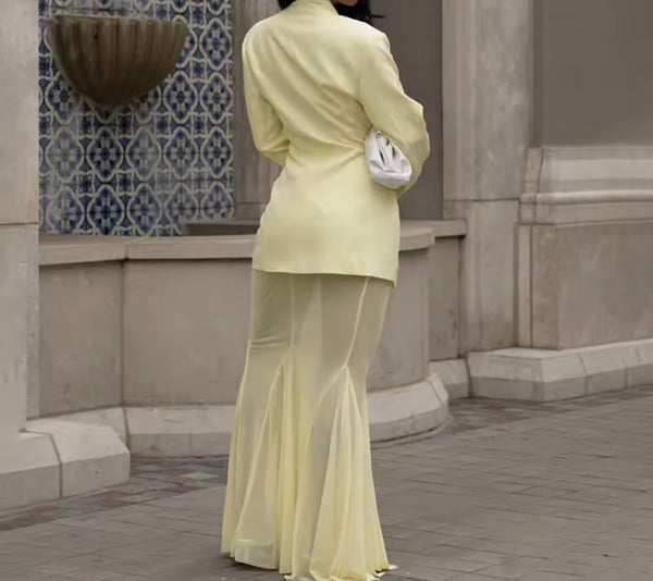 Women Sexy Full Sleeve Blazer Two Piece Mesh Maxi Skirt Set