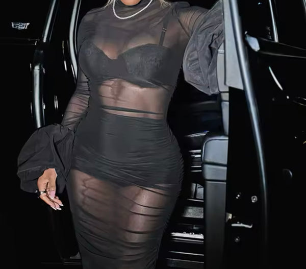 Women Sexy Black Ruffled Full Sleeve Mesh Maxi Dress