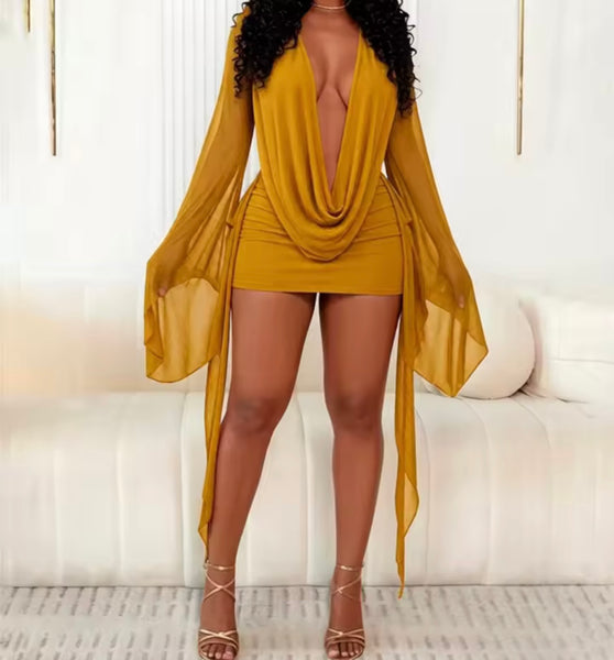 Women Sexy Draped Flare Full Sleeve Open Back Mesh Dress