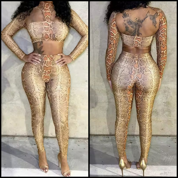 Women Sexy Fashion Animal Print Crop Two Piece Pant Set