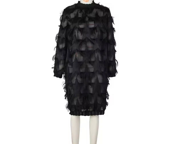 Women Sexy Black Full Sleeve Fringe See Through Dress